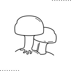 Fungi, Agaricomycetes vector icon in outline