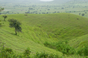 Fototapeta premium LANDSCAPE GREEN HILL SLOPE WITH CLOUD 