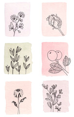 Small plants made in ink on watercolor background. Flowers and leaves drawn with black lines on colored texture in watercolor.
