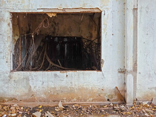 The window of old abandoned building is dilapidated. Covered with tree roots