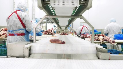 Meat production. Shop for processing, cutting, deboning beef meat