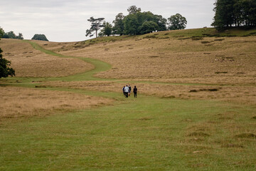 Morning walk around Petworth Park, Petworth, West Sussex, England, UK