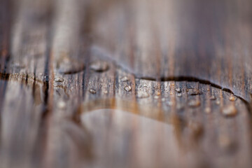 Fototapeta Drewniana deska tarasowa pokryta wodą z deszczu, makro. obraz