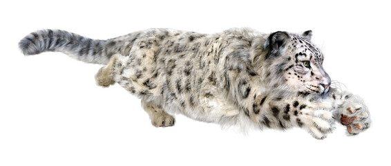 3D Rendering Snow Leopard on White