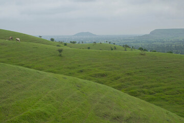 Fototapeta premium LANDSCAPE GREEN HILL SLOPE WITH CLOUD 