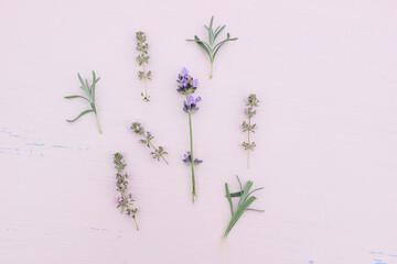 Blooming lavender and thyme herbs on pink table. Healthy herbal flowers and leaves pattern composition. Decorative floral background, web banner. Aromatherapy plants concept.