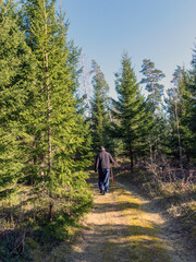 man walks along a forest trail, with trees and grass on the side of the trail