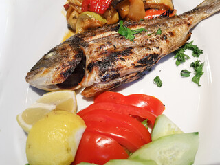 Fresh grilled whole seabass served in white plate with mixed vegetables, tomatoes and cucumbers slices for a delicious mediterranean meal