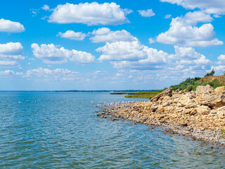 seagulls on the seashore, beautiful sky with clouds and blue water, rocky coastline