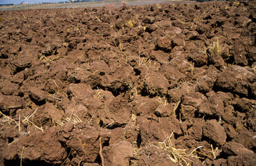 Close up view of recently plowed arable farmland in agricultural landscape. Brown clods of earth turned over by machine. Dry soil conditions in hot summer. Rome Italy 2004.