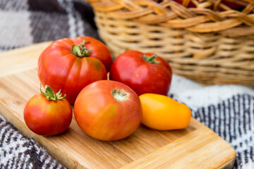 Tomatoes on a plank. Harvesting by autumn. Against the background of a large basket of tomatoes.