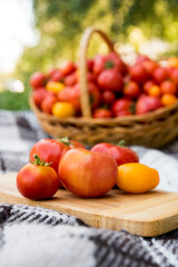 Tomatoes on a plank. Harvesting by autumn. Against the background of a large basket of tomatoes.
