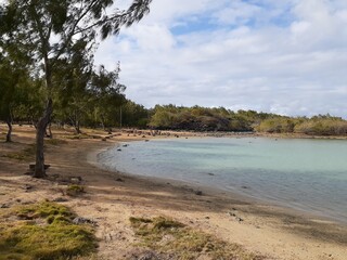 Tropical Beach in Mauritius