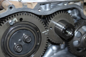 The mechanic is checking the engine.