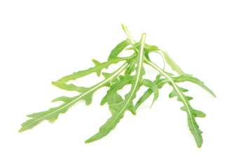 green arugula leave an isolated on white background.