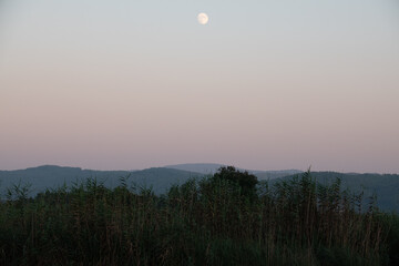Obraz premium Meadow field with moon view.