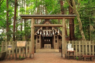 Japanese text is "Hotosan Jinja Shrine, Okumiya". "Okumiya" is  rear shrine located behind the main shrine, but dedicated to the same deity. More sacred atmosphere than main. Saitama, Japan.