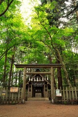 Japanese text is "Hotosan Jinja Shrine, Okumiya". "Okumiya" is  rear shrine located behind the main shrine, but dedicated to the same deity. More sacred atmosphere than main. Saitama, Japan.