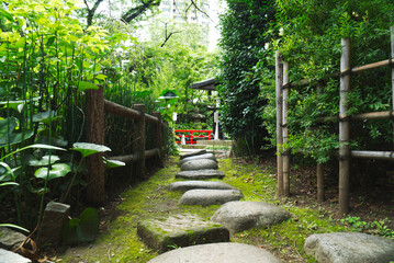 Japanese garden style interior decoration,