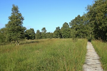 Holzbohlenweg durch das Hochmoor am Ewigen Meer