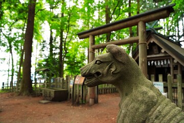 Komainu (shrine guardian dog statues) at Hotosan Jinja Shrine Okumiya at Chichibu, Saitama, Japan. ...