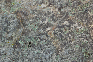 Grey grunge textured wall background copy space