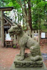 Komainu (shrine guardian dog statues) at Hotosan Jinja Shrine Okumiya at Chichibu, Saitama, Japan.  At Hotosan Jinja Shrine, It is wolf, guardian wolf statue, God's bodyguard.