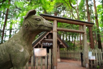 Komainu (shrine guardian dog statues) at Hotosan Jinja Shrine Okumiya at Chichibu, Saitama, Japan.  At Hotosan Jinja Shrine, It is wolf, guardian wolf statue, God's bodyguard.