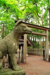 Komainu (shrine guardian dog statues) at Hotosan Jinja Shrine Okumiya at Chichibu, Saitama, Japan.  At Hotosan Jinja Shrine, It is wolf, guardian wolf statue, God's bodyguard.