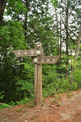 Wood sign in Mt. Hoto-san. Japanese texts are 