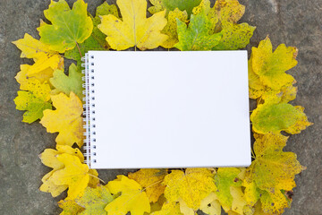Naklejka na ściany i meble Notepad lies on a stone and bright yellow green carved leaves background