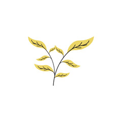 Beauty Florist botanical flower vector