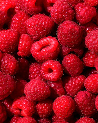 Raspberry for the background. Lots of ripe raspberries.