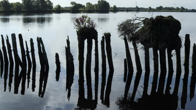 Alte Uferbefestigung am Ewigen Meer mit Bewuchs