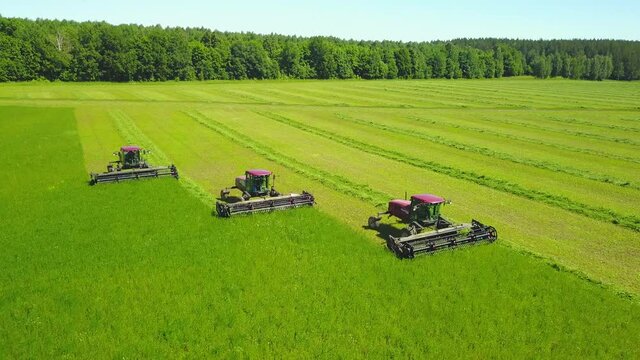 Aerial shot combine harvesters harvesting animal feed