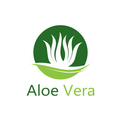 Aloe vera logo vector illustration template
