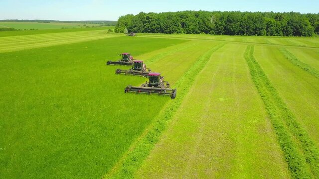 Three harvester combine working on the field. Aerial view