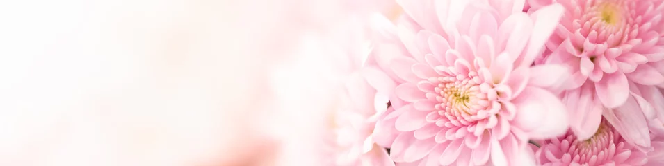 Foto op Aluminium Aard van roze bloem in tuin die als voorbladachtergrond gebruikt natuurlijk florabehang of ontwerp van de bestemmingspagina van de sjabloonbrochure © Fahkamram