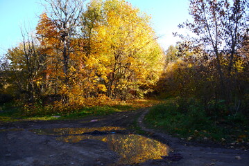 Fototapeta premium Beautiful autumn