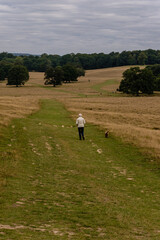 Morning walk around Petworth Park, Petworth, West Sussex, England, UK