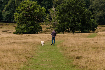 Morning walk around Petworth Park, Petworth, West Sussex, England, UK