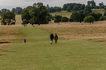Morning walk around Petworth Park, Petworth, West Sussex, England, UK