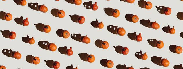 Pattern of many different pumpkins with a hard shadow on a gray background. Halloween concept.