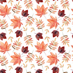 Watercolor hand painted seamless pattern with autumn leaves, rowan branches on white background. Perfect for fall or thanksgiving design. Digital Paper for wrapping, textile, scrapbook or background.