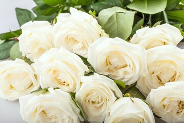 Bouquet of White Roses on Grey Background