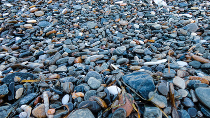 Stony beach on a sunny day. Background of different pebbles from above on the beach