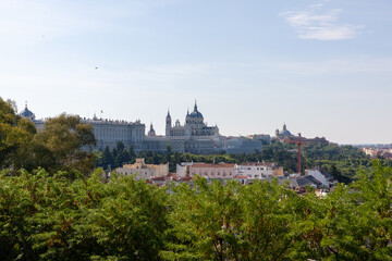Madrid skyline with a bushes on front. Madrid, Spain