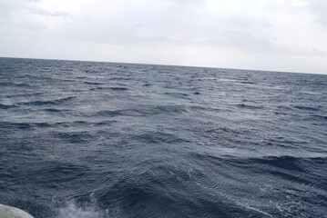 Fototapeta na wymiar Waves on the Sea 