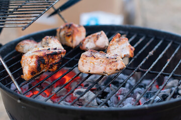 Assortment of marinated meat grilling over the hot coals on a BBQ with sausage, steak, chicken, spare ribs and kebabs with copy space