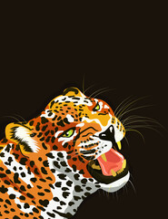 Leopard head front view vector illustration. Poster design concept